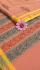 PL Salem Sarees Hand Block Printed Saree