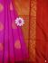 PL Softee Saree