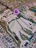 KALAMKARI PRINTED COTTON SAREE