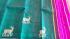 SAREES KPM SILK WITH BLOUSE