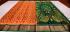 COTTON X KORA SILK TIE DYE SAREES CHINNLAPATTI