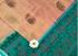SAREES NEGAMAM WITH BLOUSE