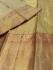 ARNI SILK HALF FINE ZARI SAREE WITH BLOUSE