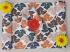 BEDSHEET ERODE AHEMADHABAD PRINT 90 X108 2 PILLOW COVER
