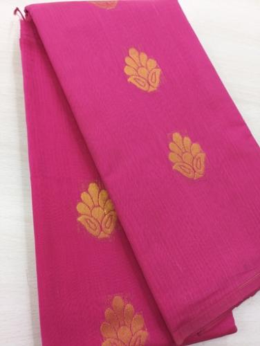 PL BIG BUTTA SAREE