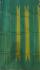 SAREES ARNI TEMPLE BORDER