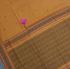 DINDIGUL COTTON SAREES WITH BLOUSE