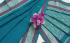 DINDIGUL COTTON SAREES WITH BLOUSE