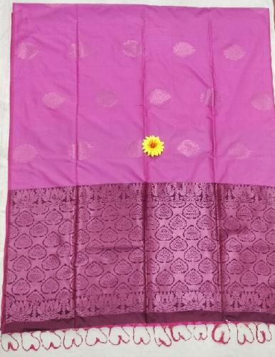 PL Softee Saree