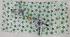 BEDSHEET ERODE AHEMADHABAD PRINT 60X90 2 PILLOW COVER