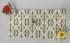 BEDSHEET ERODE AHEMADHABAD PRINT 60X90 2 PILLOW COVER