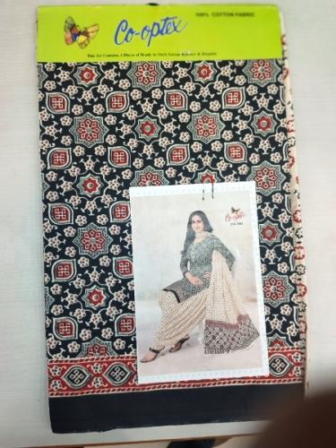 PL PRINTED CHUDIDHAR
