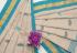 SAREES COIMBATORE WITH BLOUSE