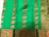 PL EMBOSS SAREE