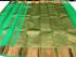 PL EMBOSS SAREE