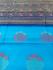 COIMBATORE KORA COTTON SAREE 620 MTS