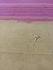 SAREES SALEM 80S WITH BLOUSE