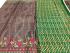 PL PRINTED SAREES WITH BLOUSE