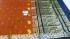 PMK BUMBERG COT SAREES WITH BLOUSE