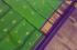 SAREES KPM SILK WITH BLOUSE