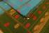SAREES SALEM 80S WITH BLOUSE