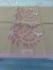 Tantuja Cotton Sarees without Blouse