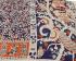 KALAMKARI PRINTED COTTON SAREE