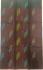 COIMBATORE KORA COTTON SAREE 620 MTS