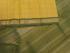 SAREES KPM SILK WITH BLOUSE
