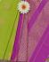 PL Softee Saree