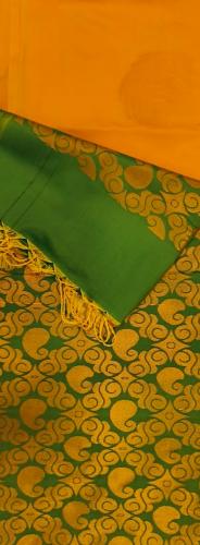 PL Softee Saree