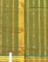 SAREES JAYANKONDAM COTTON WITH BLOUSE