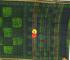 MADURAI SUNGUDI COTTON SAREES 550 MTS