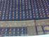 80SX80S PMK 1000 BUTTA COTTON SAREES