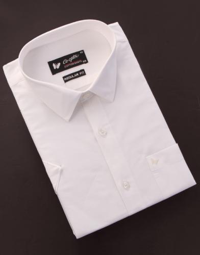 Shirt-Half-Sleeves