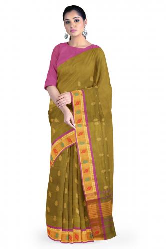 Jayankondam cotton saree