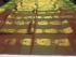 SALEM SILK SAREE WITH BLOUSE