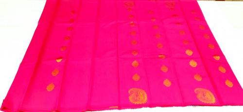 PL BIG BUTTA SAREE