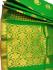 PL BIG BUTTA SAREE