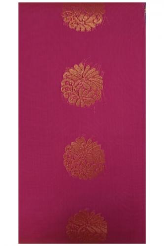 PL BIG BUTTA SAREE