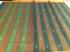SAREES SALEM 80S WITH BLOUSE