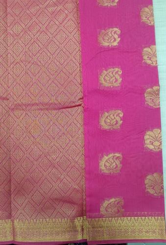 PL BIG BUTTA SAREE