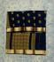 PL BIG BUTTA SAREE