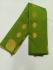PL BIG BUTTA SAREE