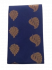 PL BIG BUTTA SAREE