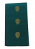PL BIG BUTTA SAREE