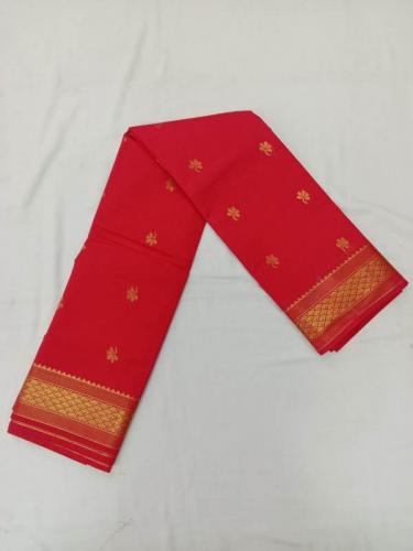 PL BIG BUTTA SAREE