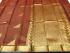 PL BIG BUTTA SAREE