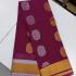 PL BIG BUTTA SAREE