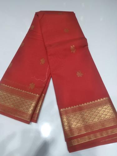 PL BIG BUTTA SAREE